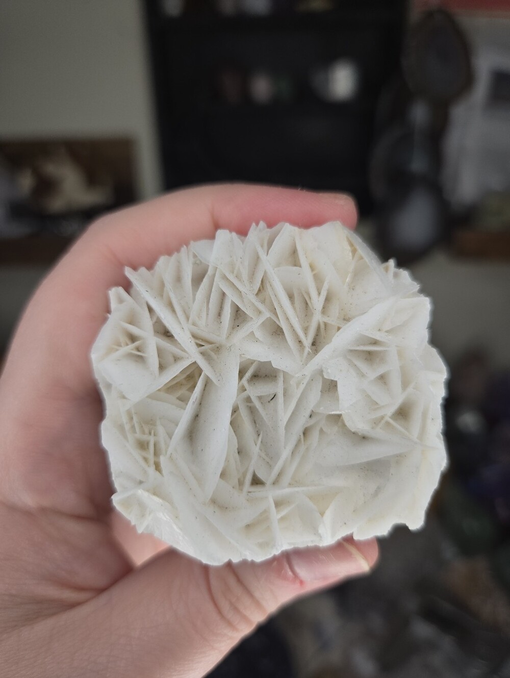 UV Reactive White Desert Rose Bladed Calcite Elephant Crystal Carving Buddy - Picture 4 of 6